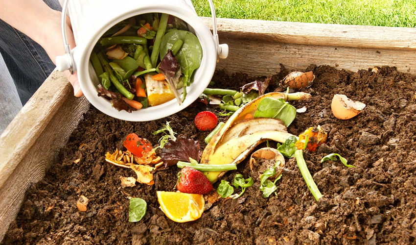 Биологическая переработка органического мусора: экологически чистое решение