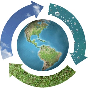 Переработка мусора - весомый ход в поддержку экологического состояния планеты.