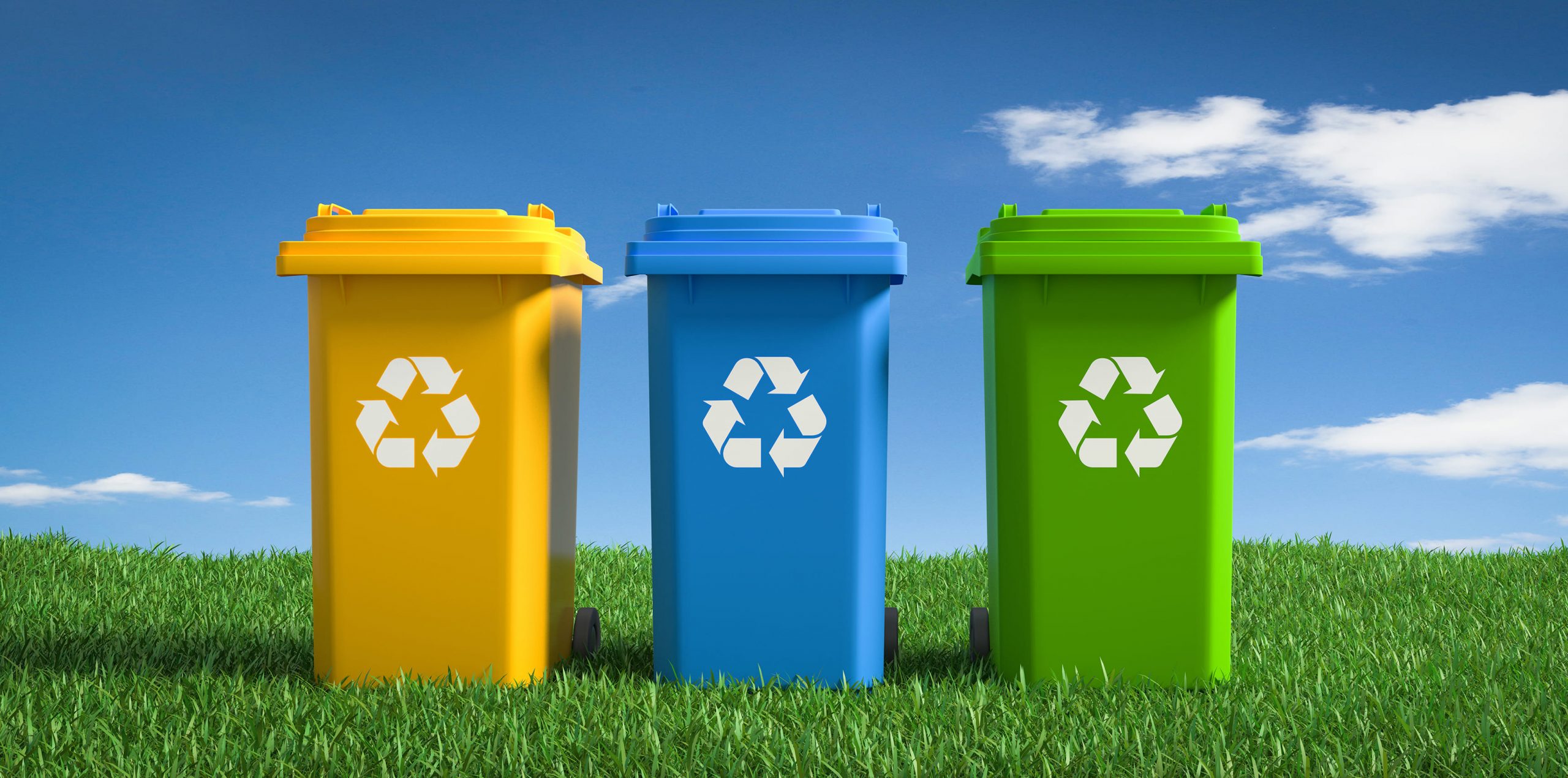 Раздельный сбор мусора: практические рекомендации и преимущества